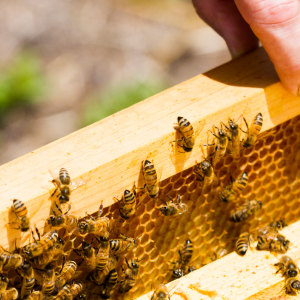 RFID Inventory Visibility Solutions