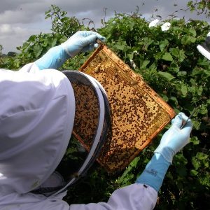 Blockchain for Humanitarian Aid Transparency